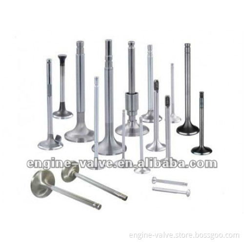 Intake &Exhaust valve